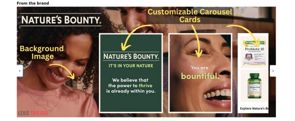 A screenshot highlighting the different parts of an A+ Brand Story