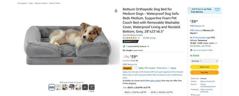 Amazon Product Listing Example