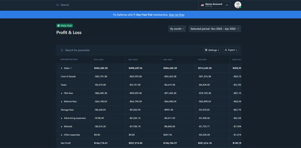 Sellerise - Profit and Loss Financial Report Example